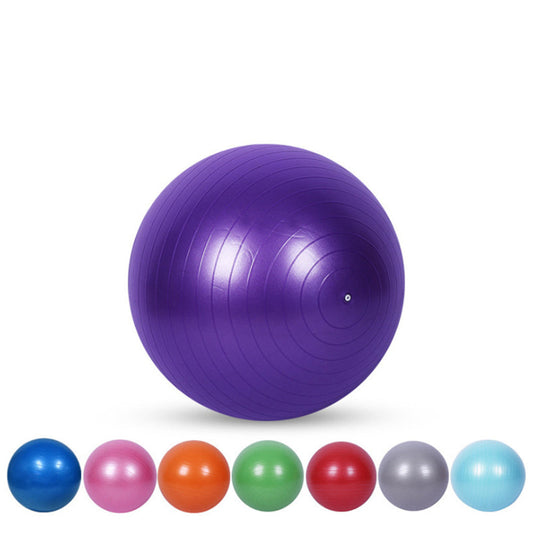 65CM Yoga Ball Exercise Ball